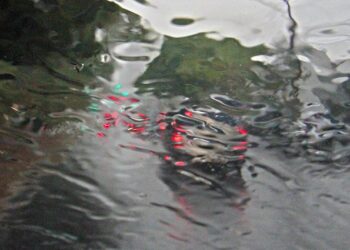 Mais chuva é esperada nesta quarta-feira para todo o Mato Grosso do Sul