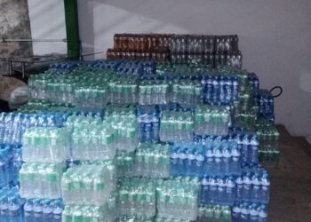 Em prol da preservação do Pantanal, supermercado da Capital doa 4,8 mil garrafas de água para instituto