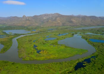 Livro traz panorama das ameaças ao Pantanal e perspectivas para sua conservação