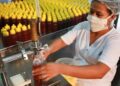 Programa busca ‘maturidade exportadora’ a pequenos e médios produtores