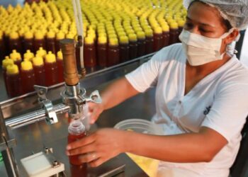 Programa busca ‘maturidade exportadora’ a pequenos e médios produtores