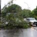 Inmet alerta para risco de temporal hoje em Mato Grosso do Sul