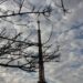 Meteorologia prevê semana com mudanças no tempo