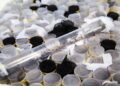Saúde inicia webinários da campanha de combate à Dengue, Zika e Chikungunya