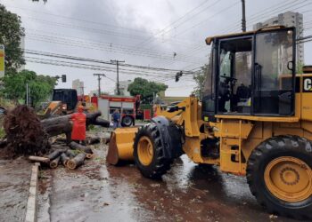Prefeitura age rápido para recuperar estragos do temporal na Capital