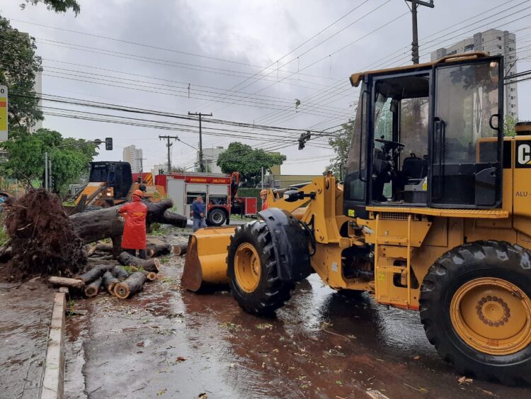 Prefeitura age rápido para recuperar estragos do temporal na Capital
