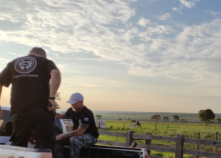 Suspeito de homicídio em Ribas é preso pela polícia escondido em fazenda