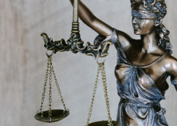 Quais os princípios que guiam a administração pública?
