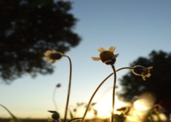 Confira aqui como ficará o tempo em todo o Mato Grosso do Sul neste fim de semana