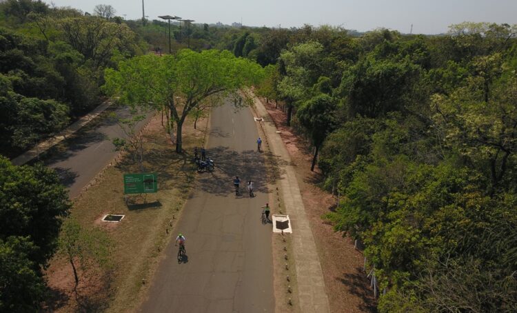 Atividade física no Amigos do Parque será ampliada com revitalização do Parque dos Poderes