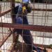 Arara azul ferida é resgatada pela PMA em fazenda de Bonito