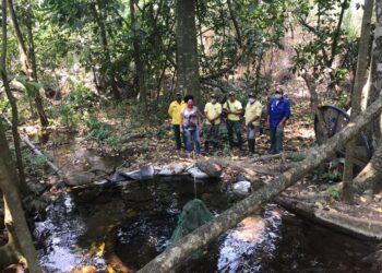 Brigadistas comemoram trabalho para recuperar reserva indígena incendiada no Pantanal