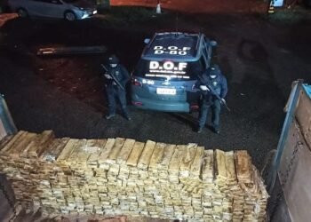 Secretário de Segurança pede a ministro da Justiça fortalecimento da Operação Hórus e mais investimentos para MS