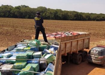 Apreensões de drogas batem recorde e ultrapassam 707 toneladas em MS neste ano