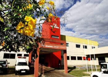 Hemosul abre as portas neste sábado a espera de doadores de sangue e de medula