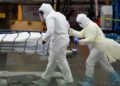 Holanda entra em confinamento total. Situação “gravíssima” na Alemanha e “preocupante” em Londres