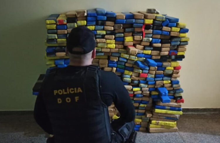 Polícia apreende quase meia tonelada de maconha em casa de Coronel Sapucaia