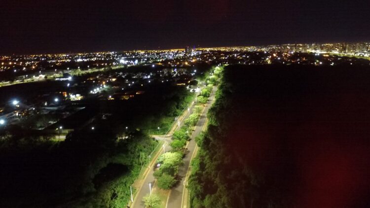 Energisa investe R$ 6 milhões em programa que reduz impacto ambiental em MS