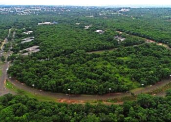 Revitalização de R$ 19 milhões será feita preservando a vegetação do Parque dos Poderes