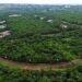 Revitalização de R$ 19 milhões será feita preservando a vegetação do Parque dos Poderes
