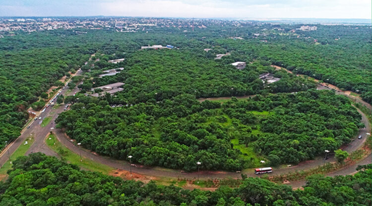 Contemplando a preservação ambiental, abertura da licitação do Parque dos Poderes será em janeiro