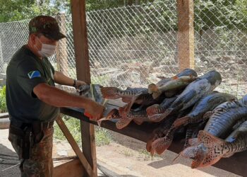 Dez são autuados e multados em R$ 25,4 mil e 154 kg de pescado são apreendidos