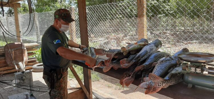 Dez são autuados e multados em R$ 25,4 mil e 154 kg de pescado são apreendidos