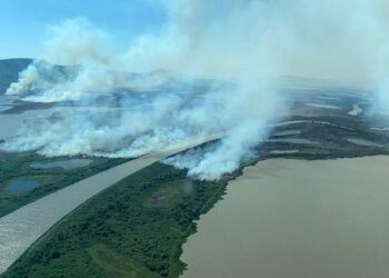 Para prevenir incêndios florestais, MS terá Política Estadual de Manejo integrado do fogo