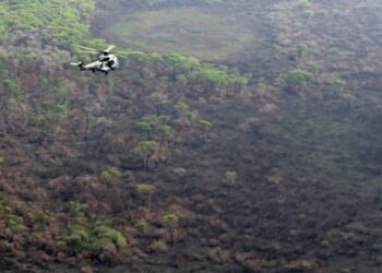 Produtor pantaneiro terá R$ 180 milhões para recuperar pecuária de região atingida por queimadas