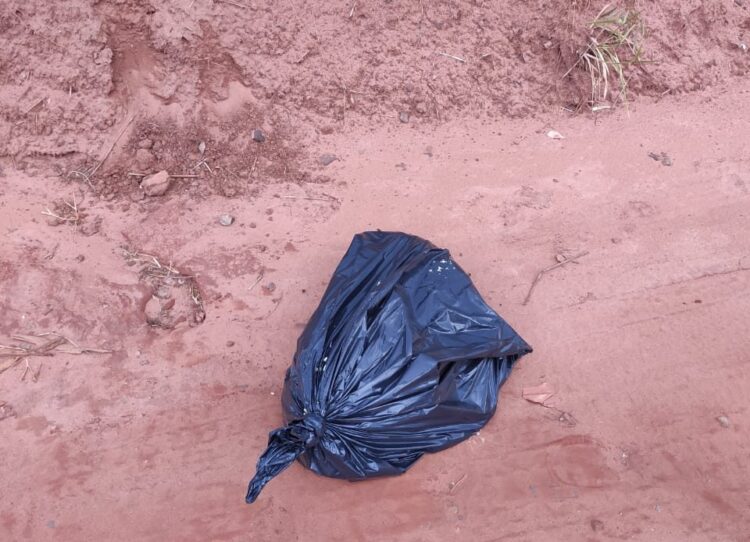 Mulher é presa em flagrante suspeita de agredir filha e matar filhote de pit bull