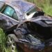 Mercedes capota na BR-060 e deixa patrão e funcionário feridos