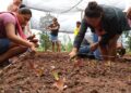 Projeto de Agricultura Periurbana passa a atender 18 comunidades tradicionais em MS