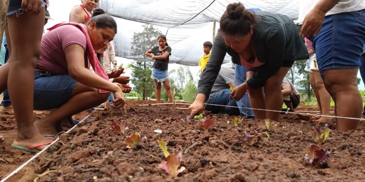 Projeto de Agricultura Periurbana passa a atender 18 comunidades tradicionais em MS