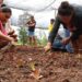 Projeto de Agricultura Periurbana passa a atender 18 comunidades tradicionais em MS