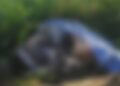 Corpo de homem é encontrado em cima de pneu em estado de decomposição na BR-163