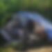 Corpo de homem é encontrado em cima de pneu em estado de decomposição na BR-163