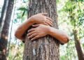 Parceria aprimora decisões judiciais sobre o meio ambiente