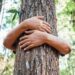 Parceria aprimora decisões judiciais sobre o meio ambiente