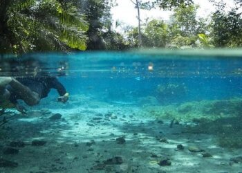 Turismo do MS enfrentou ano difícil com muito trabalho e conquistas para o setor