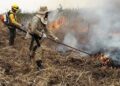 Governo quer R$ 240 milhões do FCO para recuperar prejuízos com queimadas no Pantanal