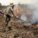Governo quer R$ 240 milhões do FCO para recuperar prejuízos com queimadas no Pantanal