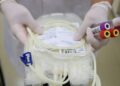 Ancestralidade africana reduz chances de encontrar doador de medula