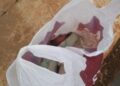 Bebê recém-nascido é encontrado dentro de sacola de lixo no Guanandi