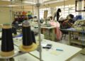Polo de tecnologia e reestruturação de incubadoras vão movimentar a economia na Capital