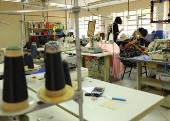 Polo de tecnologia e reestruturação de incubadoras vão movimentar a economia na Capital