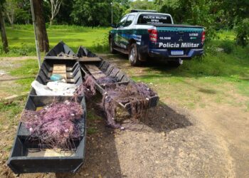 Quatro pescadores são flagrados com redes ilegais de pesca no Rio Aquidauana