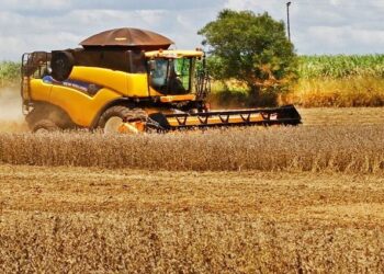 Valor da produção agropecuária de MS chega ao recorde de R$ 70,9 bilhões