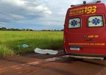 Rodeados de latas de cerveja, corpos de 2 homens são encontrados em Dourados