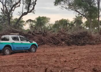 Fazendeiro é multado em R$ 196 mil por desmatamento ilegal de bioma protegido