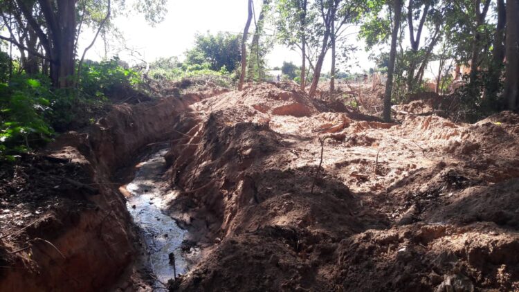 Na Capital, comerciante é autuado por desviar curso d’água e derrubar vegetação